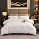 best duvet PABZ1021-1